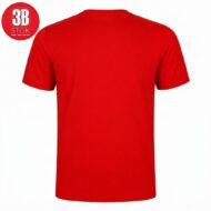 Back view of a plain red short-sleeve t-shirt viewed from behind.