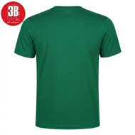 Green short-sleeve T-shirt shown from the back, plain and unbranded