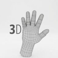 Wireframe 3D hand model with grid lines, placed beside the text '3D'.