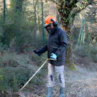 Worker in protective gear using a brush cutter to clear vegetation along a rural path.