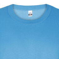 Blue crew-neck T-shirt shown from the front, close-up at the neckline with size tag visible inside back of neck